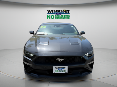 2023 Ford Mustang EcoBoost