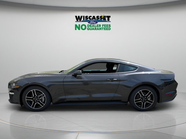 2023 Ford Mustang EcoBoost