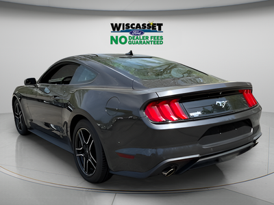 2023 Ford Mustang EcoBoost