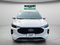 2024 Ford Escape Hybrid ST-Line Select