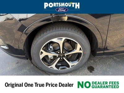 2025 Ford Escape ST-Line Elite